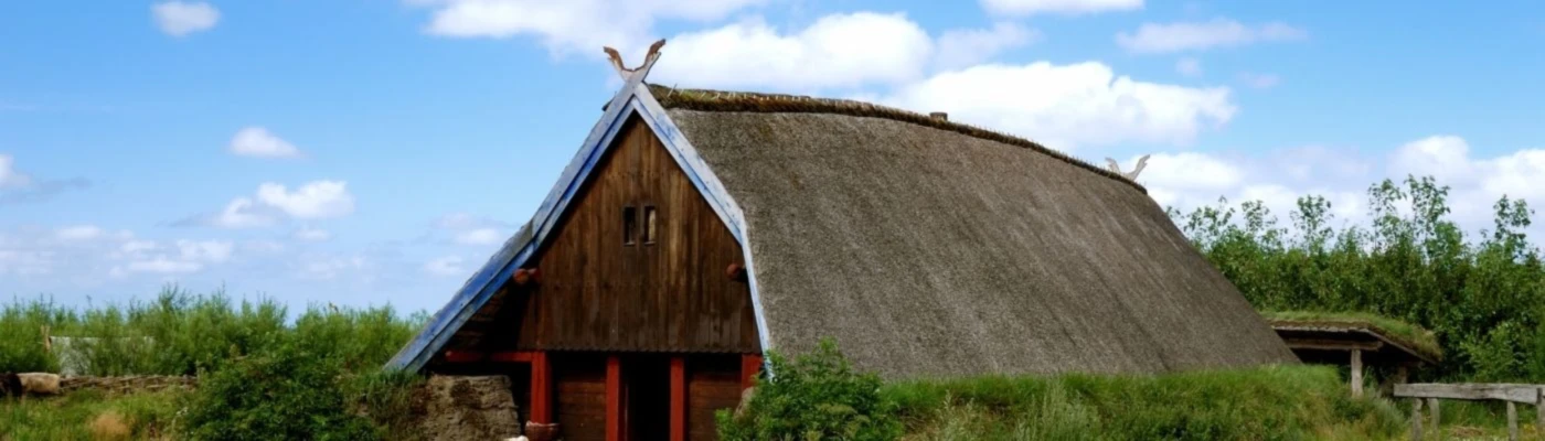 Banner image of Viking Celtic Designs