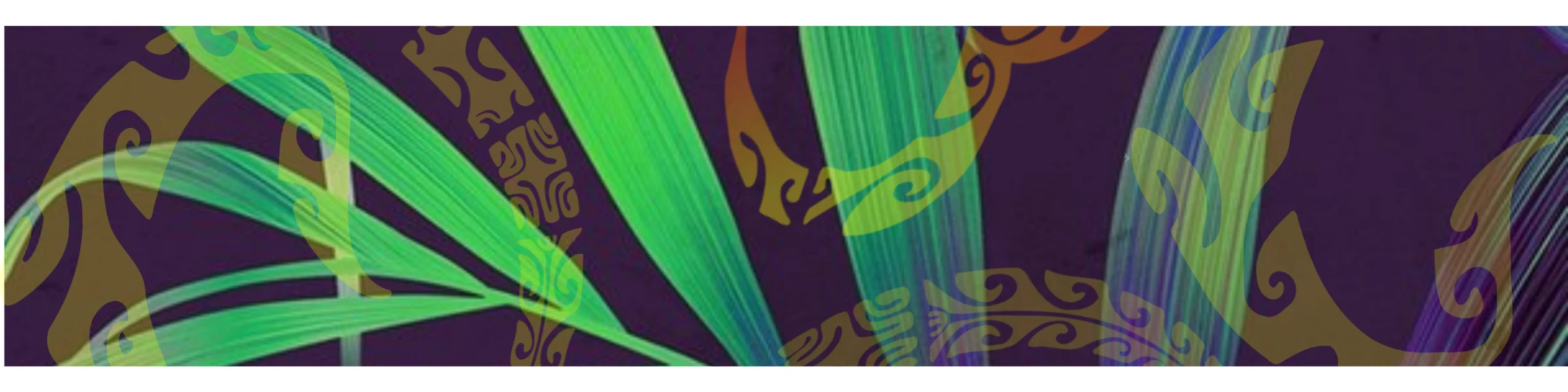 Bannerbild von Polynesian Art Tahiti