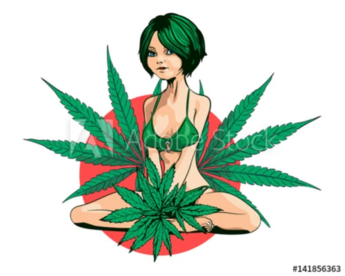 Banner image of Komfort Zasady Styl