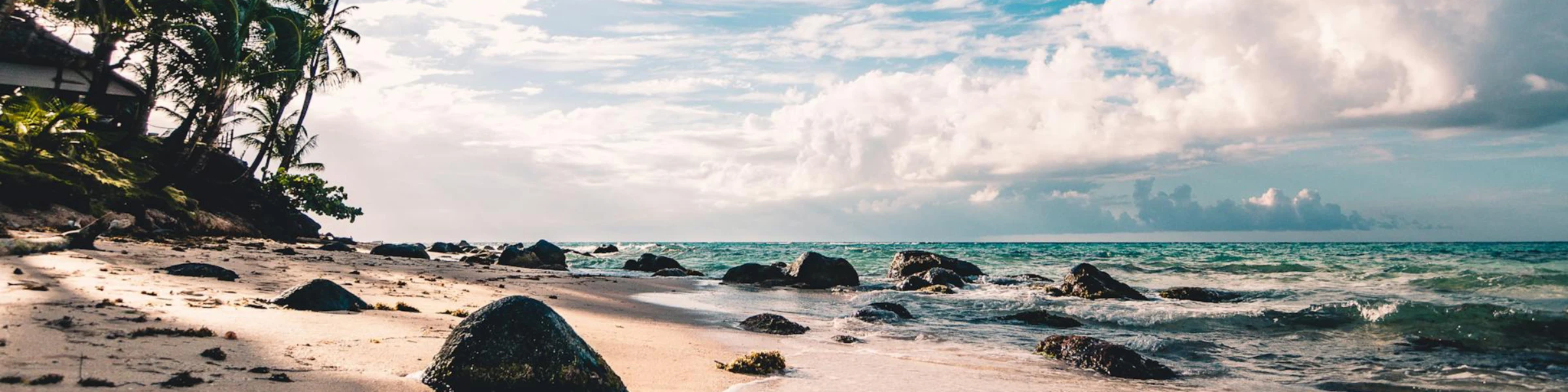 Banner image of danfox