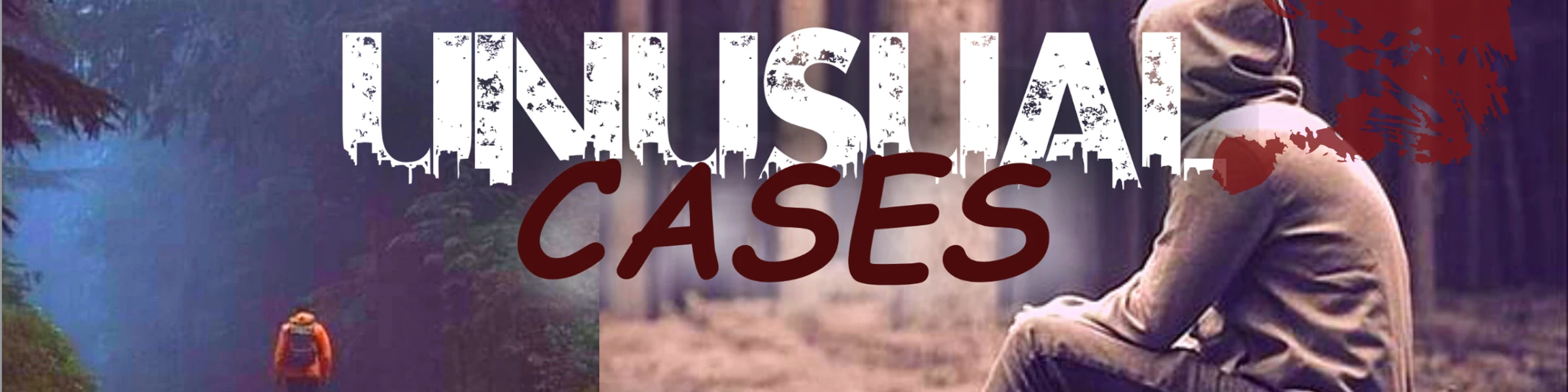 Bannerbild von Unusual Cases