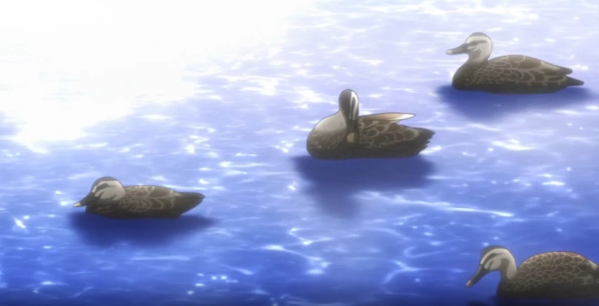 Banner image of ItsOnly3Ducks