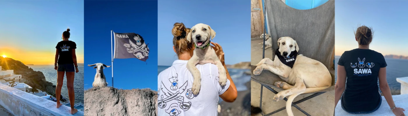 Banner image of Sawa