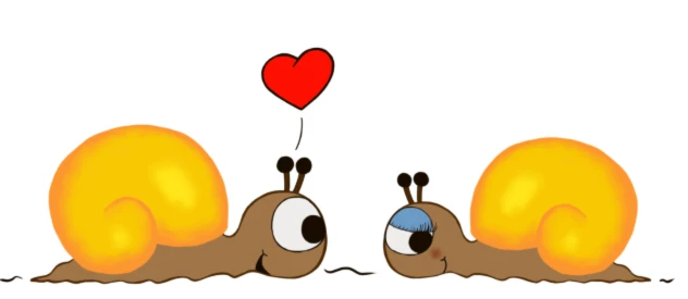 Bannerbild von mrsholi