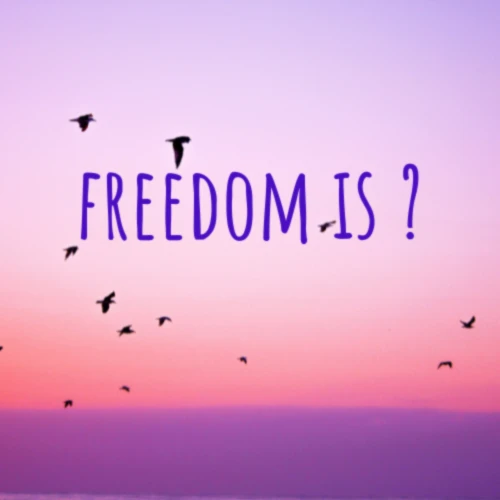 Banner image of 125388683