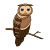MartinOwl