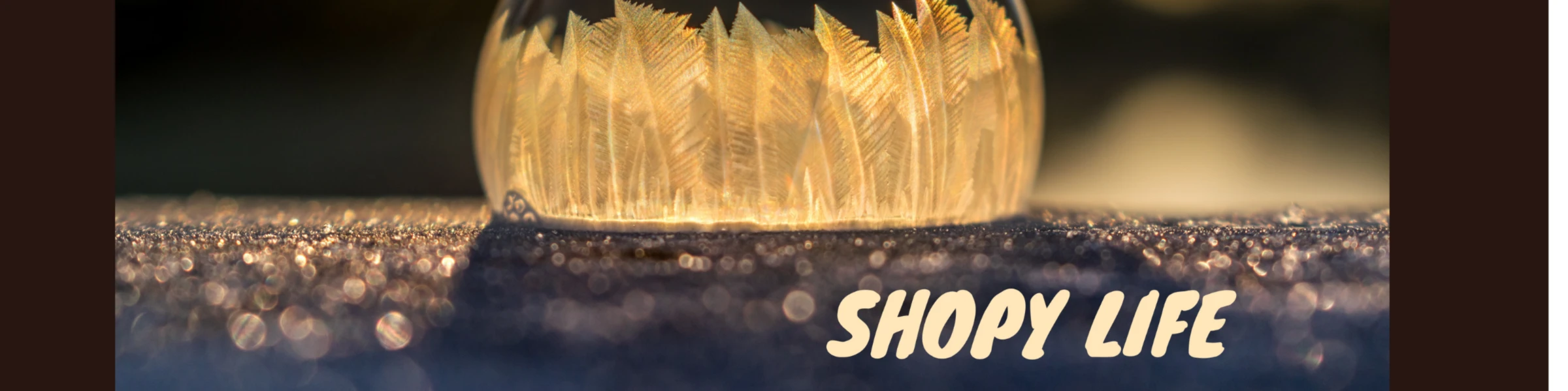 Bannière de Wideley.Shopy