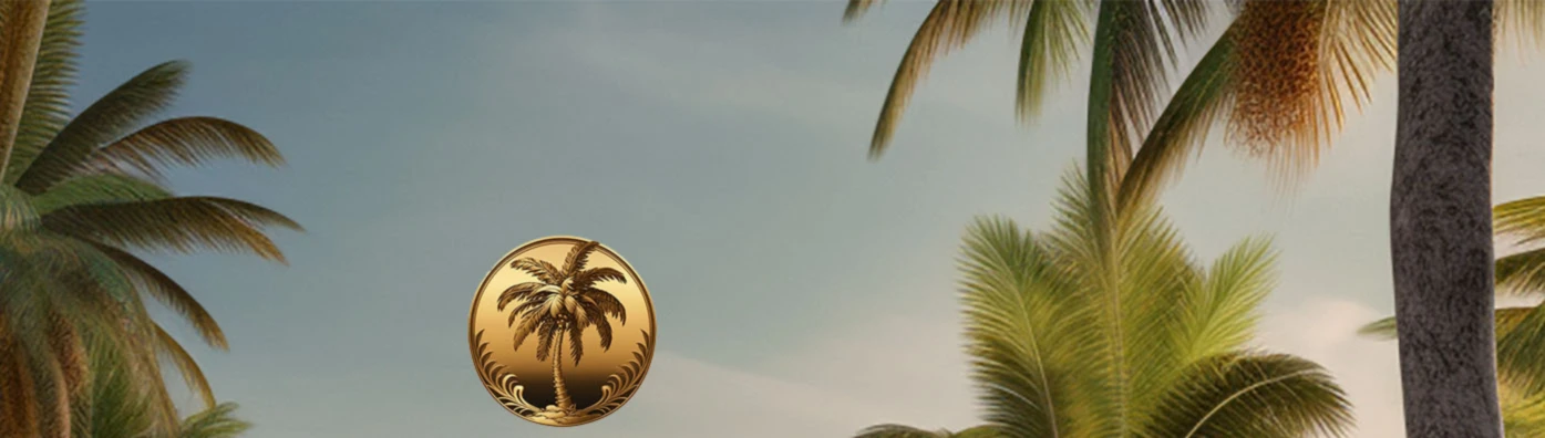 Banner image of AlexOFashion