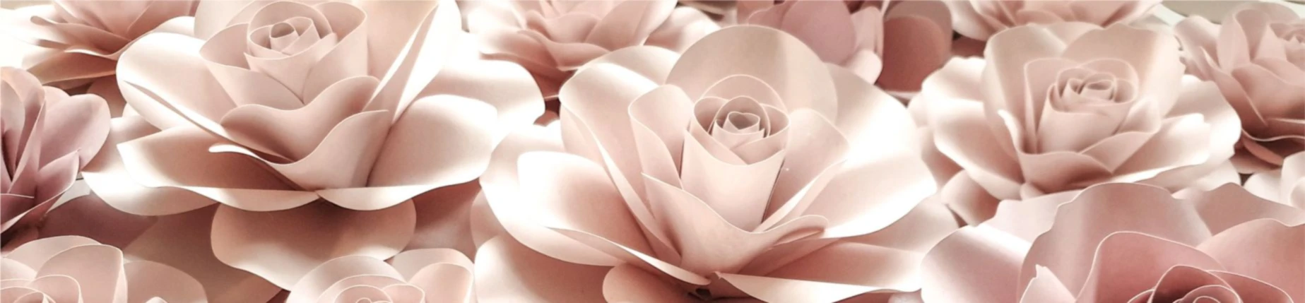 Bannière de YOURPAPERFLOWERS