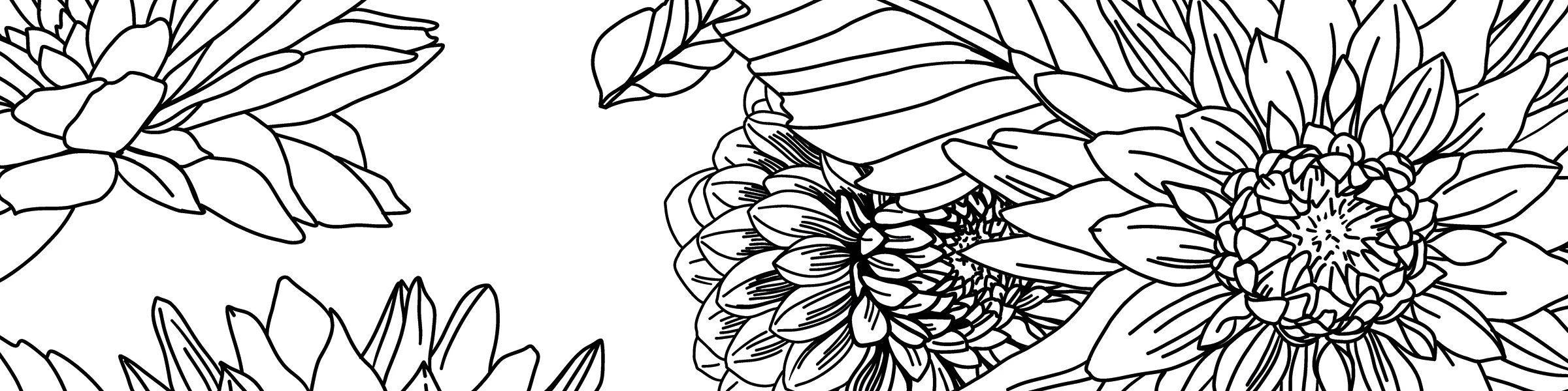 Banner image of Anastasia Albrecht