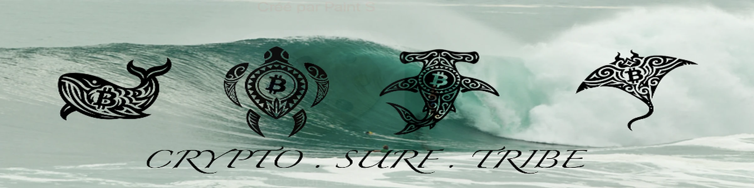 Bannière de CryptoSurfTribe