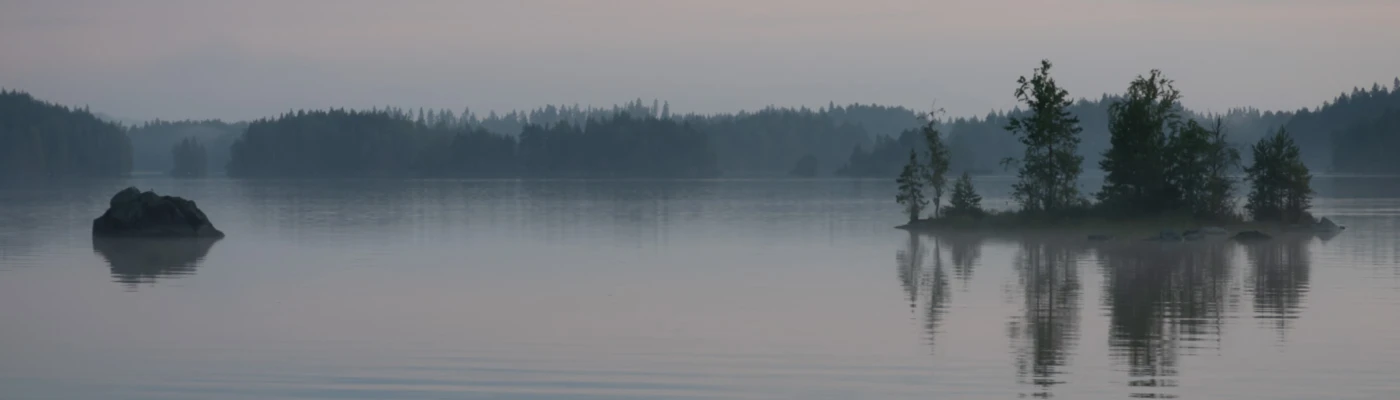 Banner image of TVa Positive Image