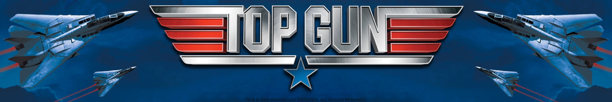 Banner image of Top Gun