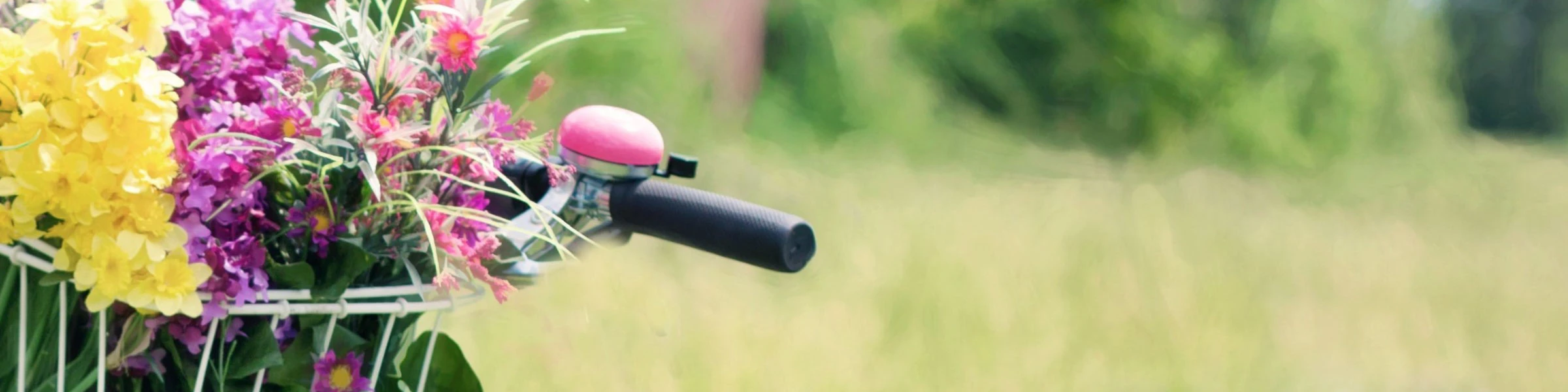 Banner image of Ecole du Dimanche a la Maison