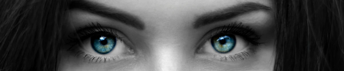 Banner image of BackToColors