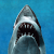 Jaws