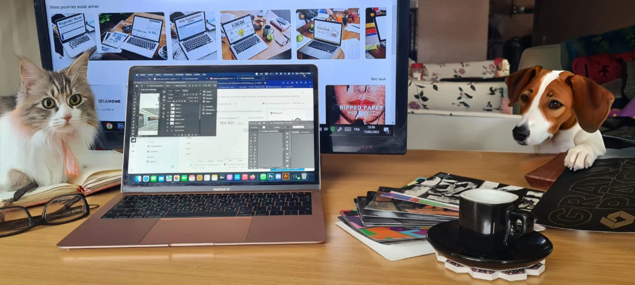 Bannière de scranchy