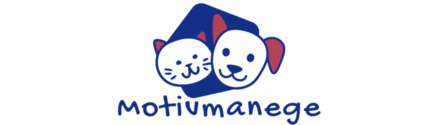 Bannerbild von Motivmanege