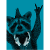 Cool Racoon