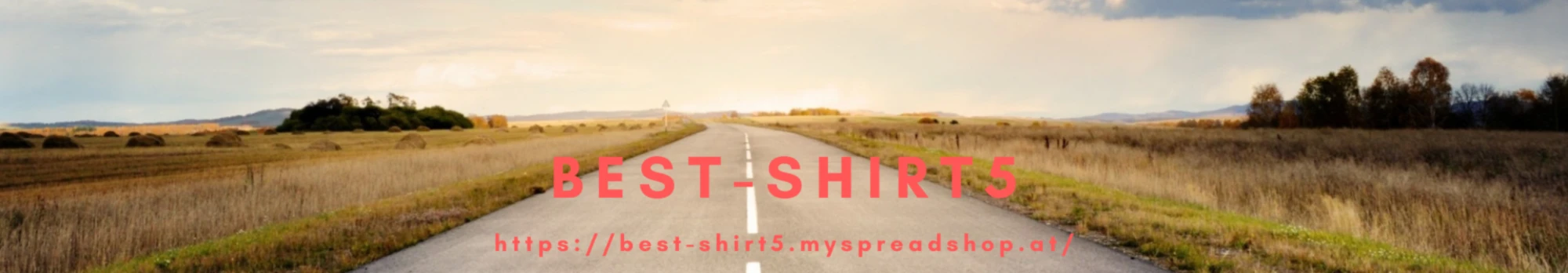 Banner image of Best-Shirt5