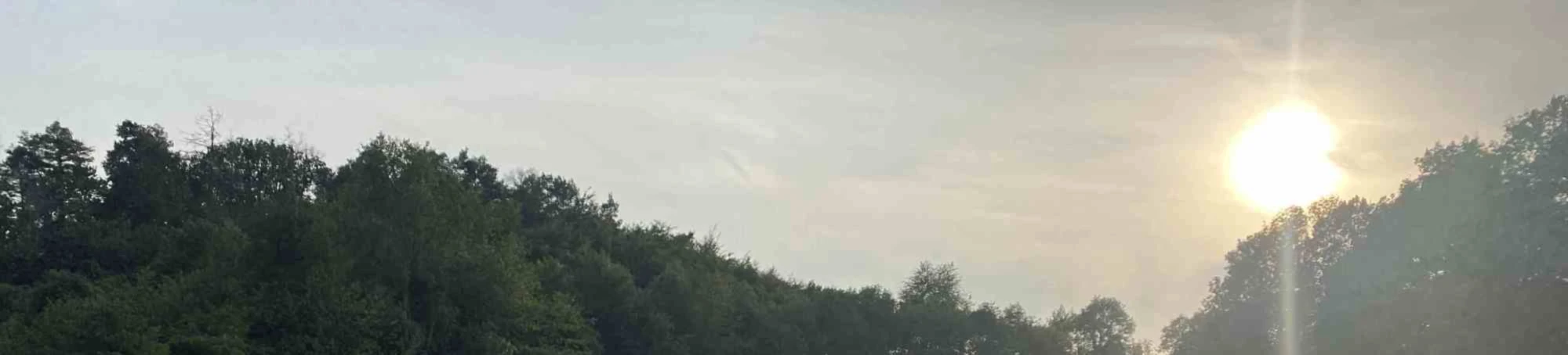 Banner image of Dckl.de