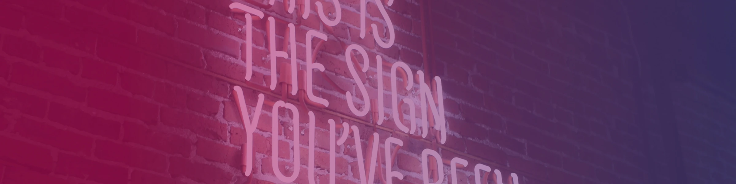 Bannerbild von MV Mediendesign