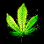Weedy Shirts