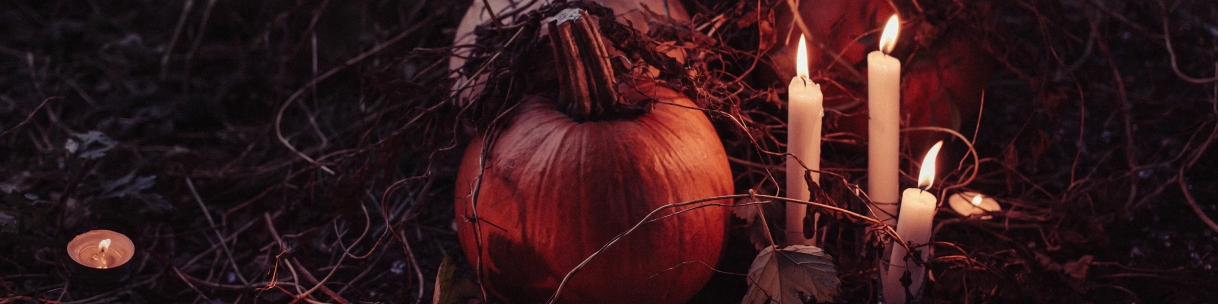 Banner image of Tanahee