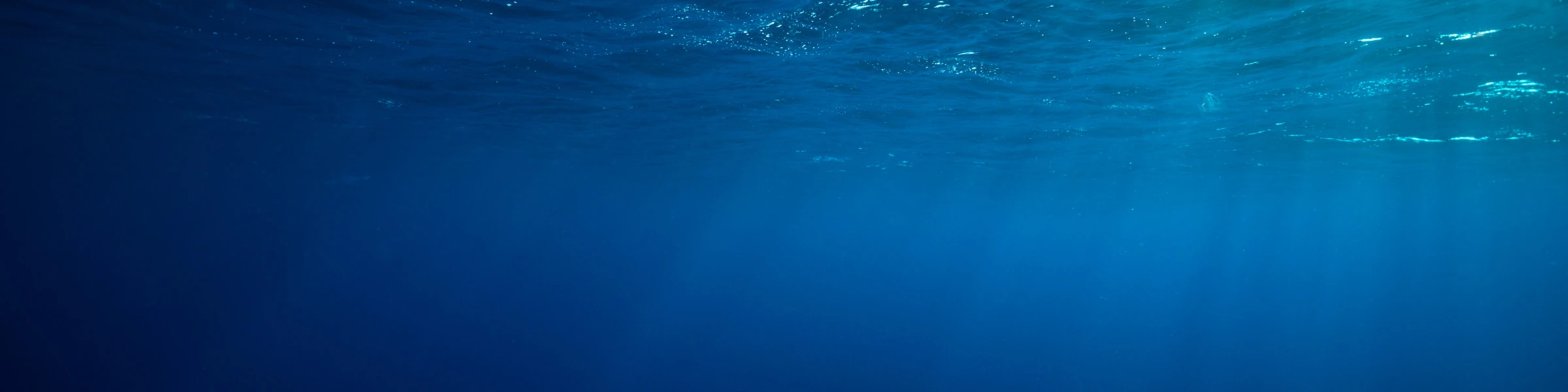 Bannerbild von VON DER SEE