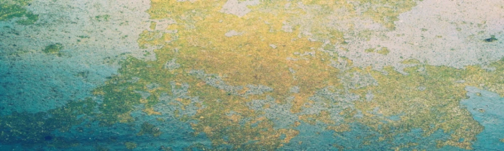 Banner image of Rebel-Design