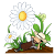 Houseplants