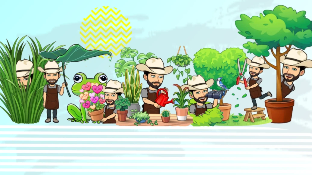 Bannière de Houseplants