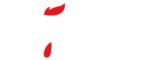 Bannière de chickenbrain