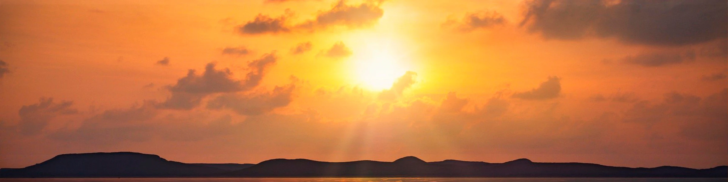 Banner image of Whimsy Workss