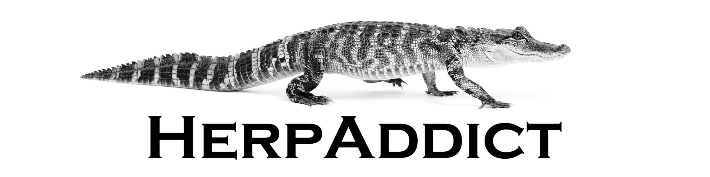 Banner image of HerpAddict
