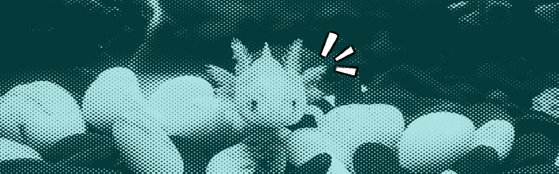 Banner image of Axolotly