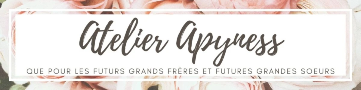 Bannière de AtelierApyness