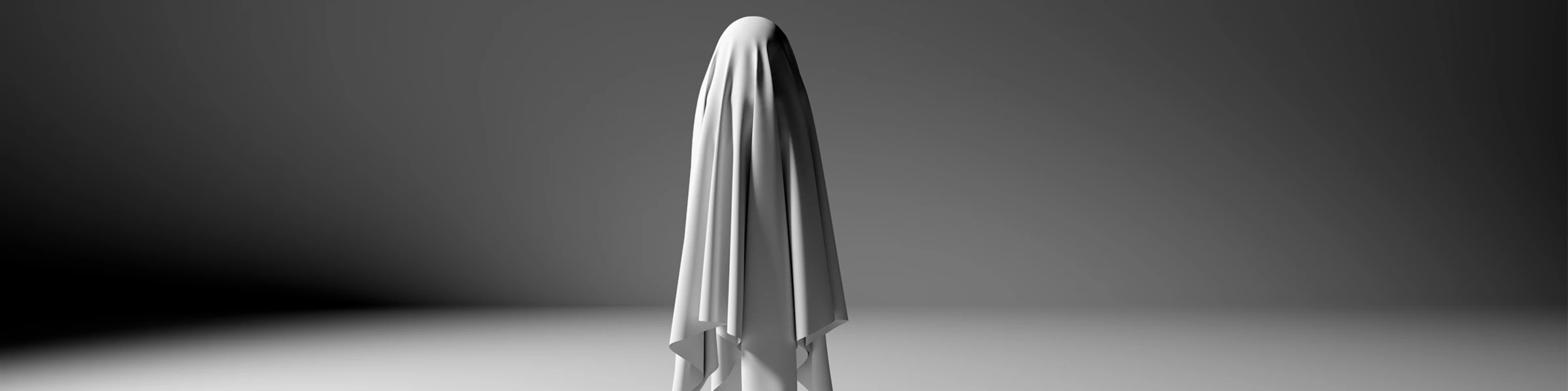 Bannière de Sale Ghost