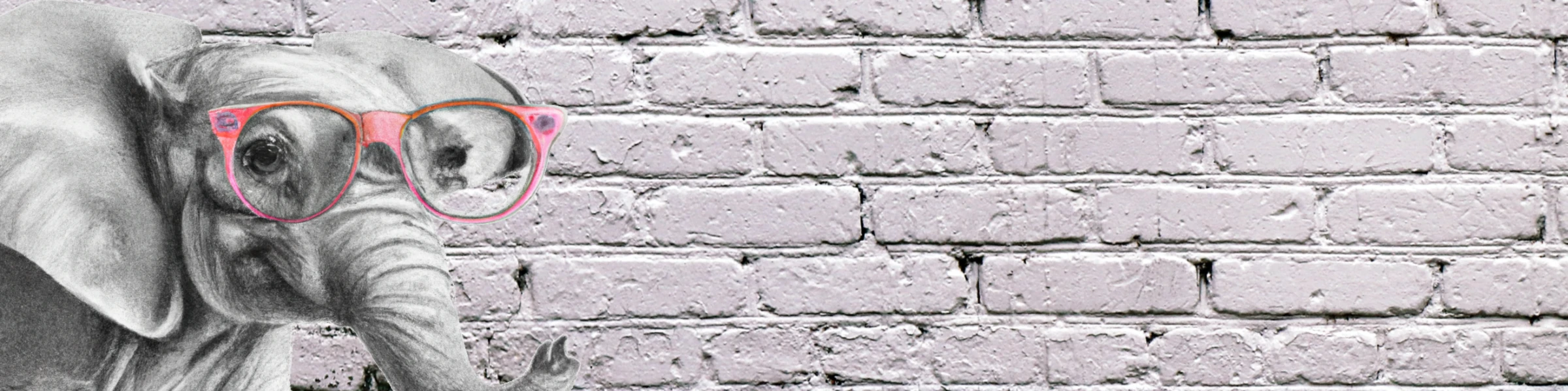 Banner image of bananflue