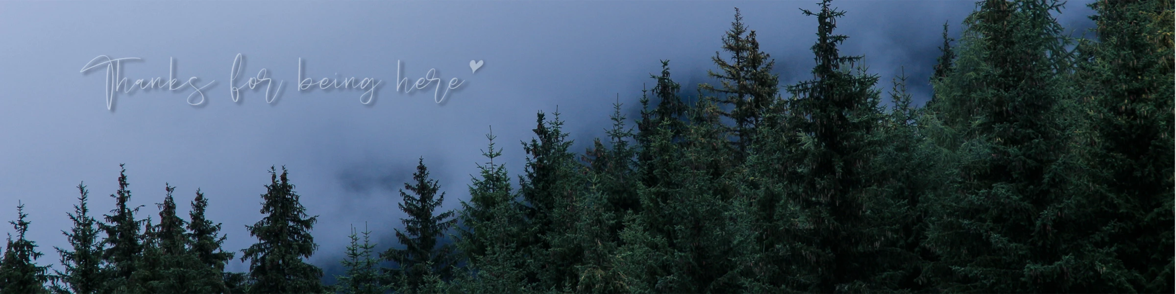 Banner image of Mattania