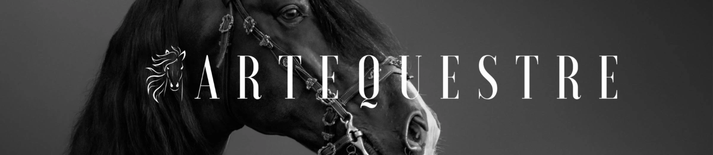Bannière de ArtEquestre