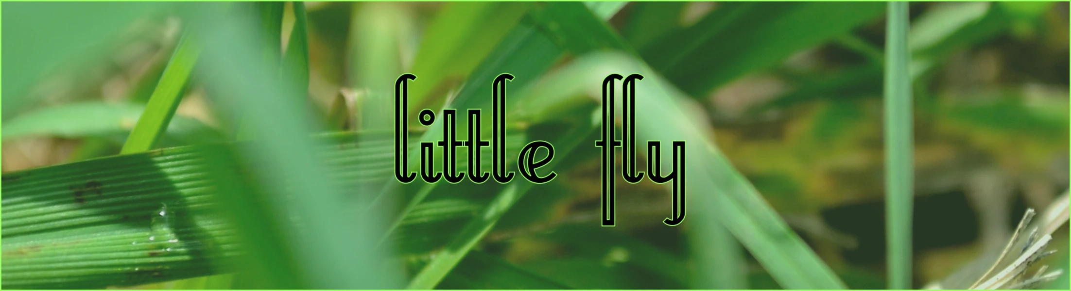Bannière de little fly