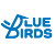 Bluebirds