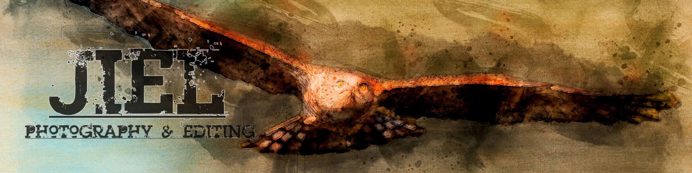 Banner image of JIEL