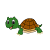 Turtle on Tour