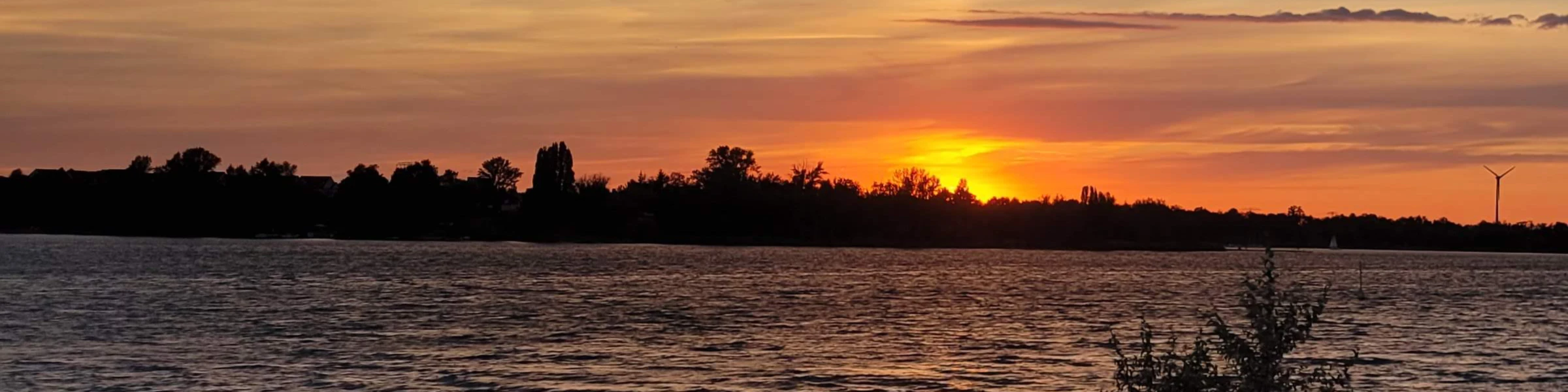 Bannière de Anonymusmaximus