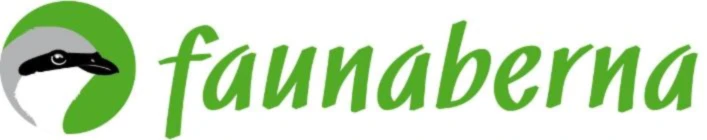 Bannerbild von BiodiversitAndy