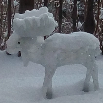 Bannerbild von Lilla