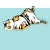 Floating-Tiger