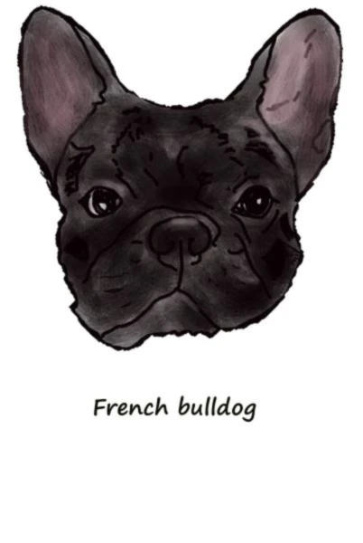 Bannière de 126725704